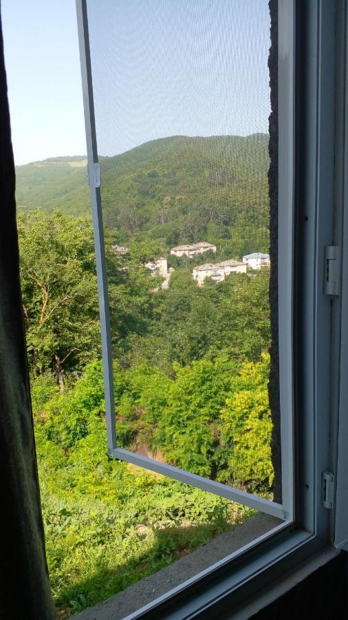 Hotel Pirosmani 66 Sighnaghi Esterno foto