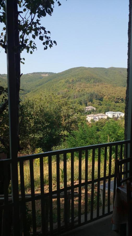 Hotel Pirosmani 66 Sighnaghi Esterno foto